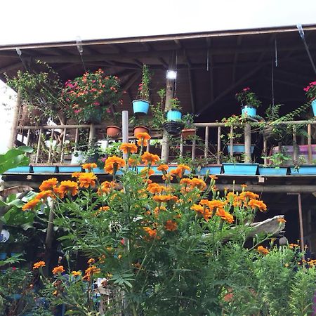 Wood House Hostel La Fortuna Bagian luar foto