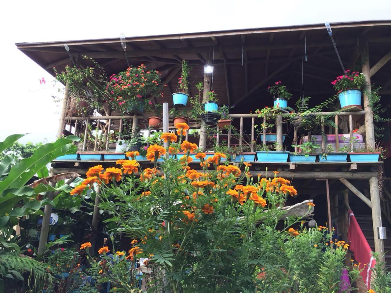 Wood House Hostel La Fortuna Bagian luar foto