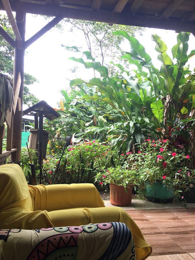 Wood House Hostel La Fortuna Bagian luar foto