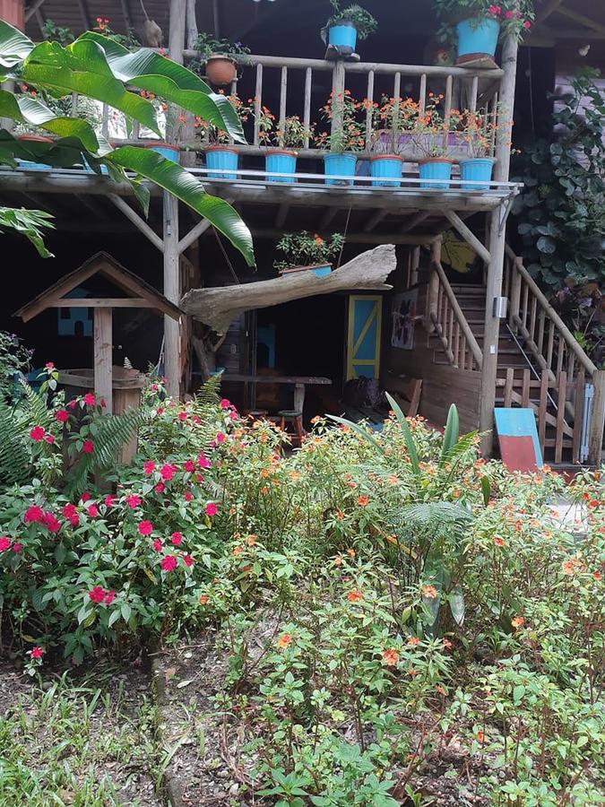 Wood House Hostel La Fortuna Bagian luar foto